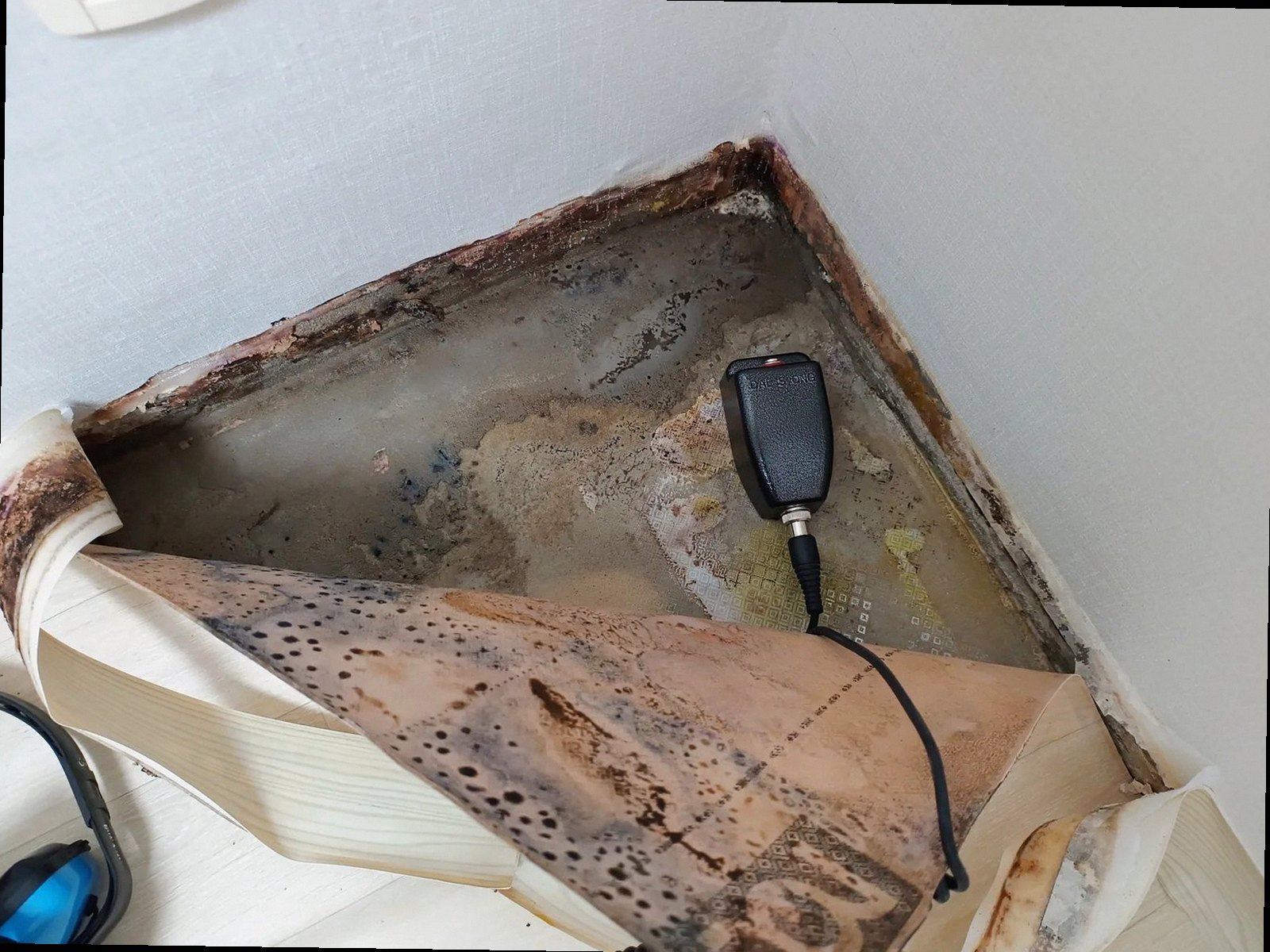 천안시 동남구 누수탐지 천장 조명 주변 물자국과 얼룩 확산 상태를 확인하는 현장 모습